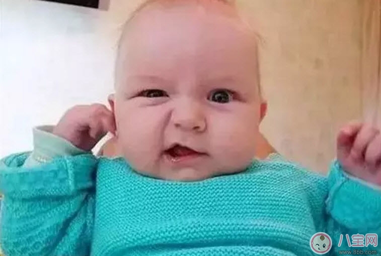 张家口市参与制定的《粟》新国标6月1日正式实施